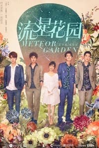 Cover of the Season 1 of Meteor Garden