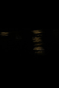 Donaukanalwalzer