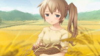 Narcissu: A Little Iris