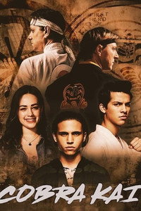 Постер сериала «Кобра Кай (2018-2025)» — (46 из 146)