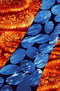 Imagem do Filme Iota