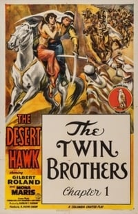 Poster de The Desert Hawk