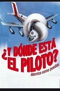 Poster de Y, ¿dónde está el piloto?