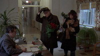 «Гарри и Тонто (1974)» — обои к фильму #3
