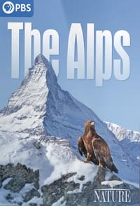 copertina serie tv The+Alps 2021