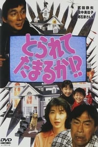 とられてたまるか!? (1994)