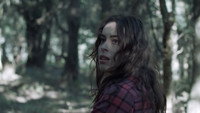 «Keep Looking (2019)» — обои к фильму #1