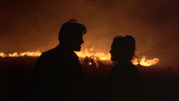 Обои к фильму «Дни жатвы (1978)» — (23 из 90)