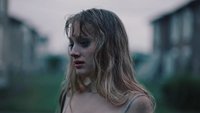 A Night in the Fields