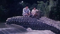 «Chi dao de chun tian (1980)» — обои к фильму #1