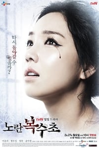 노란 복수초 (2012)