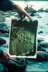 Envío 32 (2017) poster