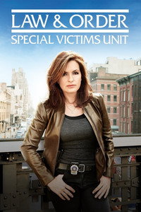 Постер сериала «Закон и порядок. Специальный корпус (1999)» — (43 из 175)