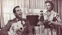 «Лохматый пес (1959)» — обои к фильму #2