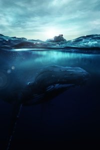 movie-images