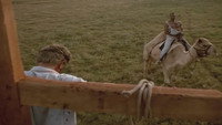 «Похороны в Техасе (1999)» — обои к фильму #4