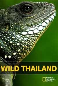 Poster de Wild Thailand