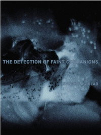 Постер фильма «The Detection of Faint Companions (2021)» — (1 из 1)