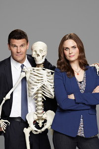 Постер сериала «Кости (2005 - 2017)» — (34 из 181)