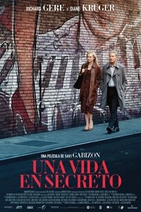 Poster de Descubriendo A Mi Hijo