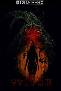 Постер фильма «Ведьма (2015)» — (32 из 106)