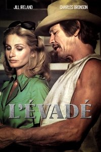 movie-images