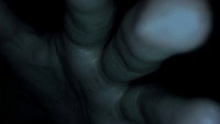 «Womb (2017)» — обои к фильму #2