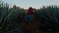 «Dos estaciones (2022)» — обои к фильму #1