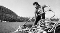 «Herring Hunt (1953)» — обои к фильму #1