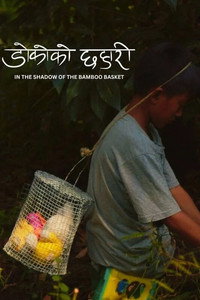 In the Shadow of the Bamboo Basket