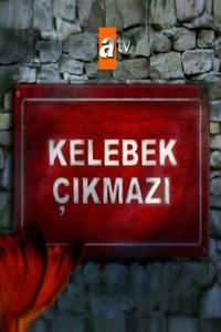 Kelebek Çıkmazı (2007)