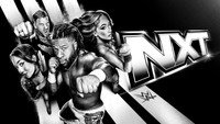 «WWE NXT (2010)» — обои к сериалу #8