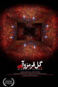 Imagem do Filme گل قرمز و آبی