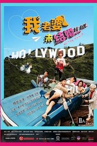 我老婆未结婚 (2017)