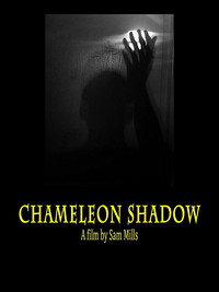Постер фильма «Chameleon Shadow (2017)» — (1 из 1)