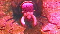 «Ночные пожиратели (1996)» — обои к фильму #1