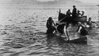 «Radeau avec baigneurs (1896)» — обои к фильму #1
