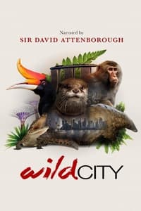 Poster de Wild City