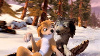 Обои к мультфильму «Альфа и Омега: Клыкастая братва (2010)» — (11 из 11)