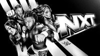 «WWE NXT (2010)» — обои к сериалу #9