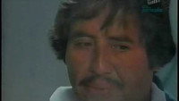 «Mojado de nacimiento (1981)» — обои к фильму #1