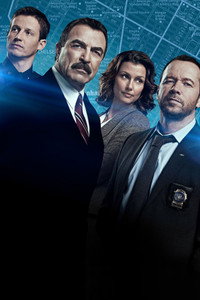 Постер сериала «Голубая кровь (2010 - 2024)» — (23 из 149)