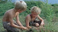«Пелле-завоеватель (1986)» — обои к фильму #1