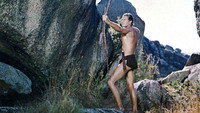 «Тарзан едет в Индию (1962)» — обои к фильму #2