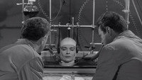 Le Cerveau Qui ne Voulait Pas Mourir