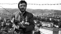 «Похититель персиков (1964)» — обои к фильму #2