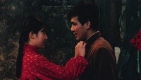 «Mu Ma Ren (1982)» — обои к фильму #3