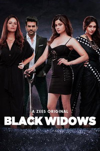 Постер сериала «Чёрные вдовы (2020)» — (2 из 5)
