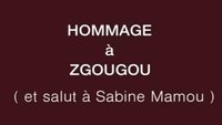Tribute to Zgougou the Cat