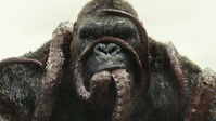 Kong: Skull Island